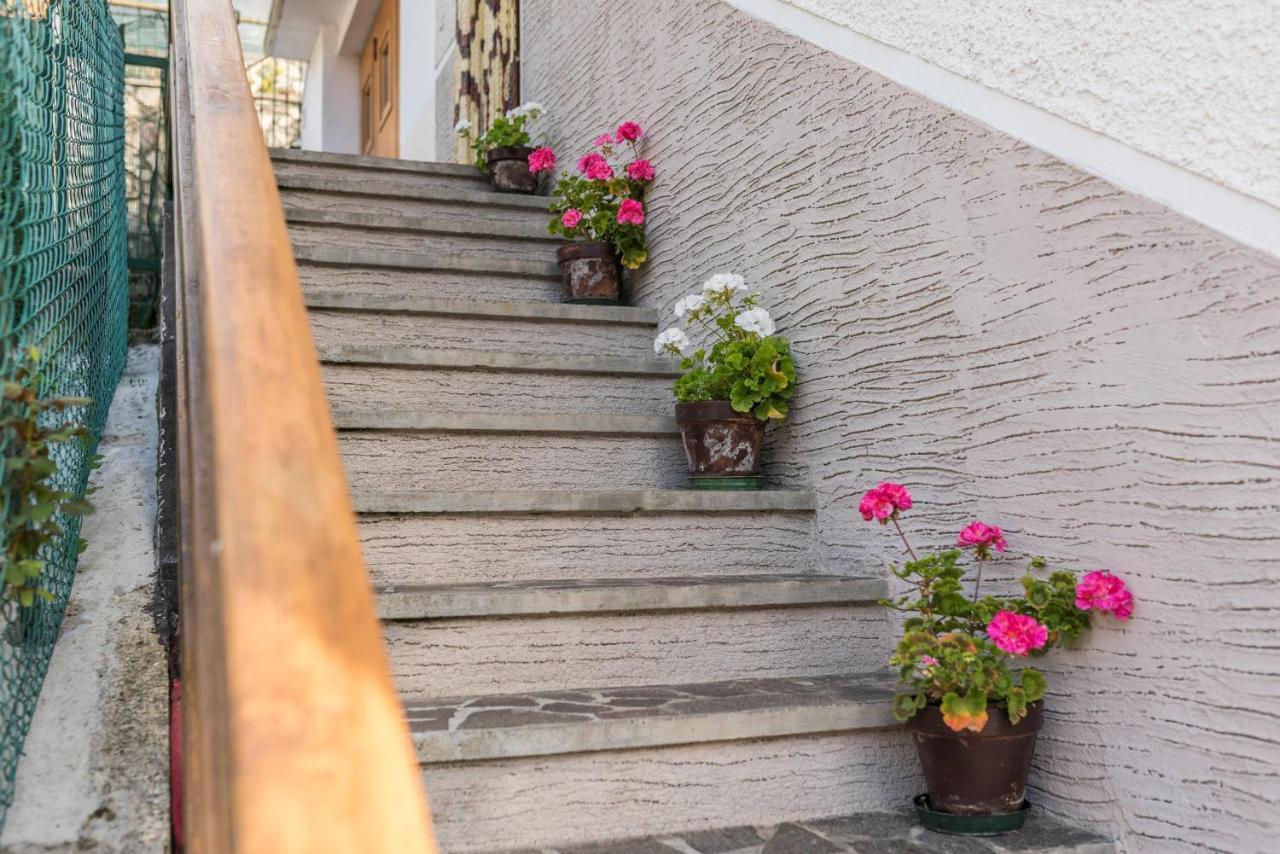 Appartamento Casa al sole Bresimo Esterno foto